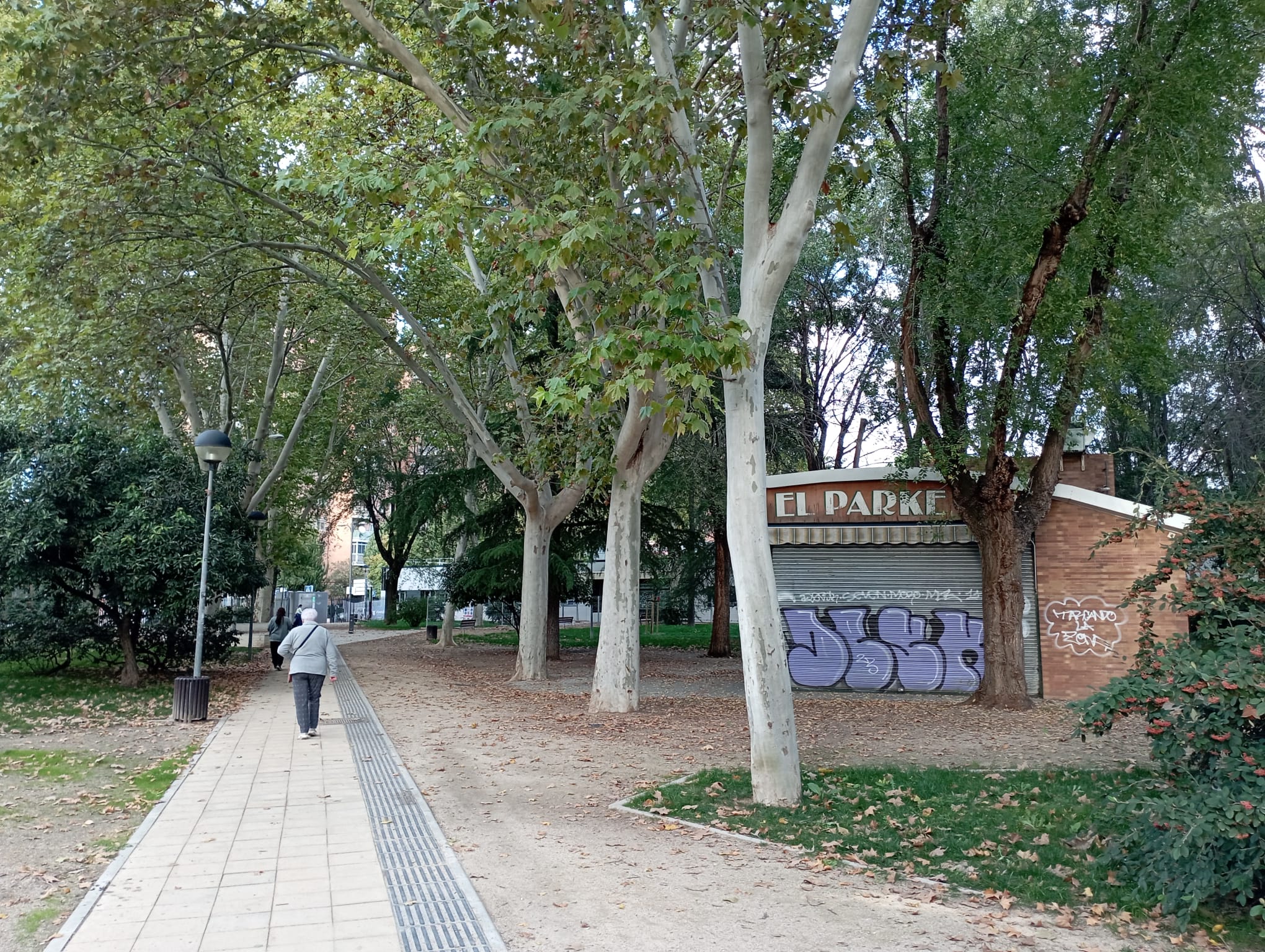 Más de uno Alcalá 28/10/2024 Más de uno Alcalá 28/10/2024