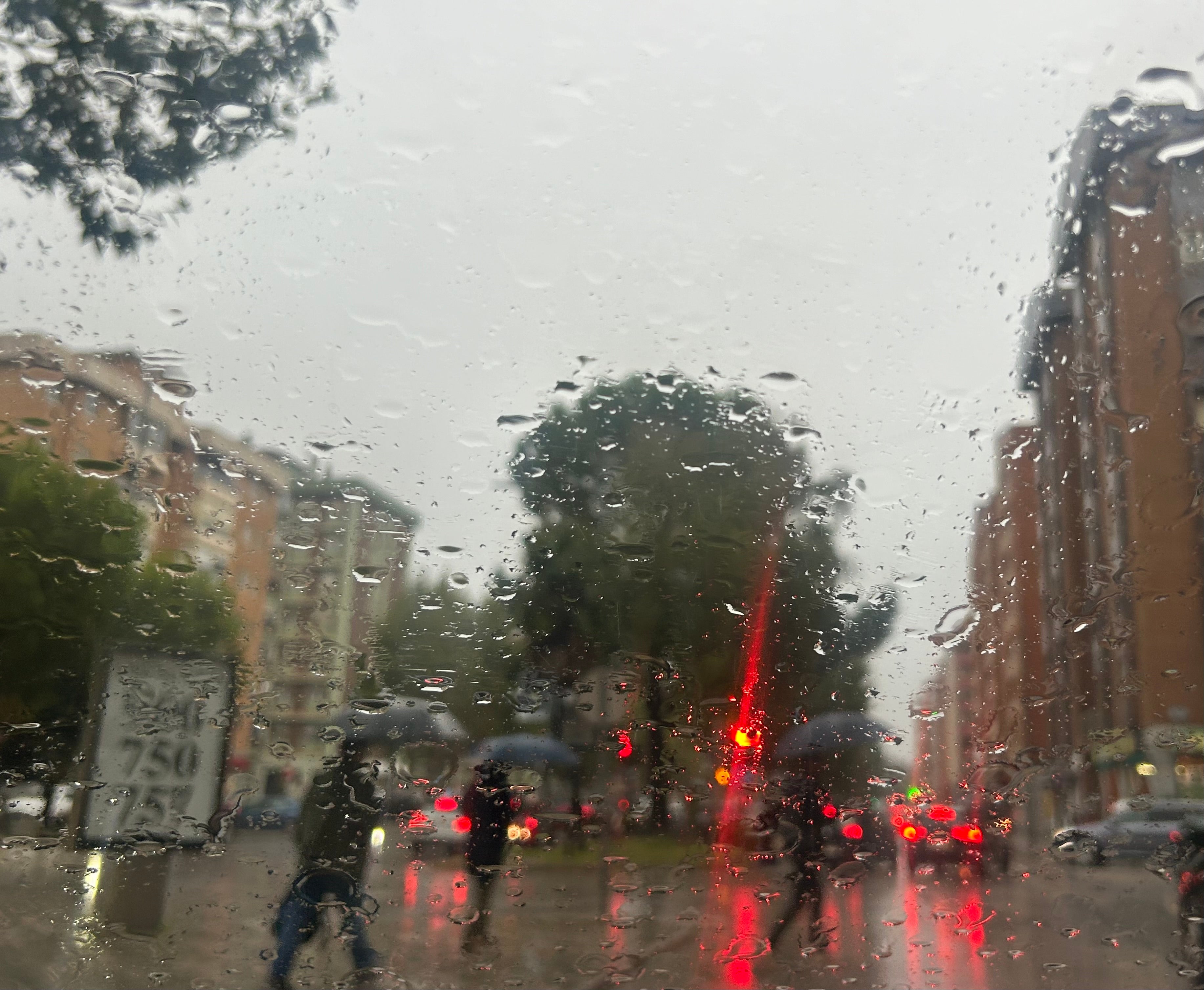 El Ayuntamiento de Cuenca cierra todas las instalaciones deportivas al aire libre por las lluvias El Ayuntamiento de Cuenca cierra todas las instalaciones deportivas al aire libre por las lluvias