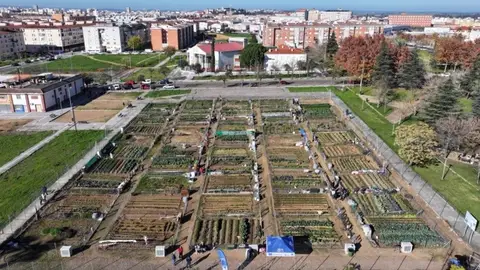 Doce parcelas de los huertos urbanos ecológicos de Badajoz estarán reservadas a colectivos de Suerte de Saavedra Doce parcelas de los huertos urbanos ecológicos de Badajoz estarán reservadas a colectivos de Suerte de Saavedra