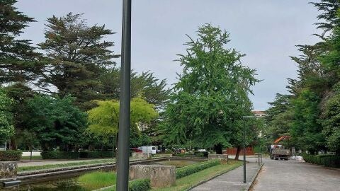 PP y PSOE critican que el gobierno local cambiase las luminarias del Campus Sur en contra del dictamende la comisi&oacute;n asesora del casco hist&oacute;rico y el arquitecto municipal