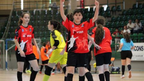 Segosala Naturpellet