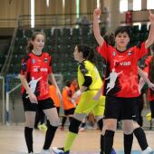 Segosala Naturpellet