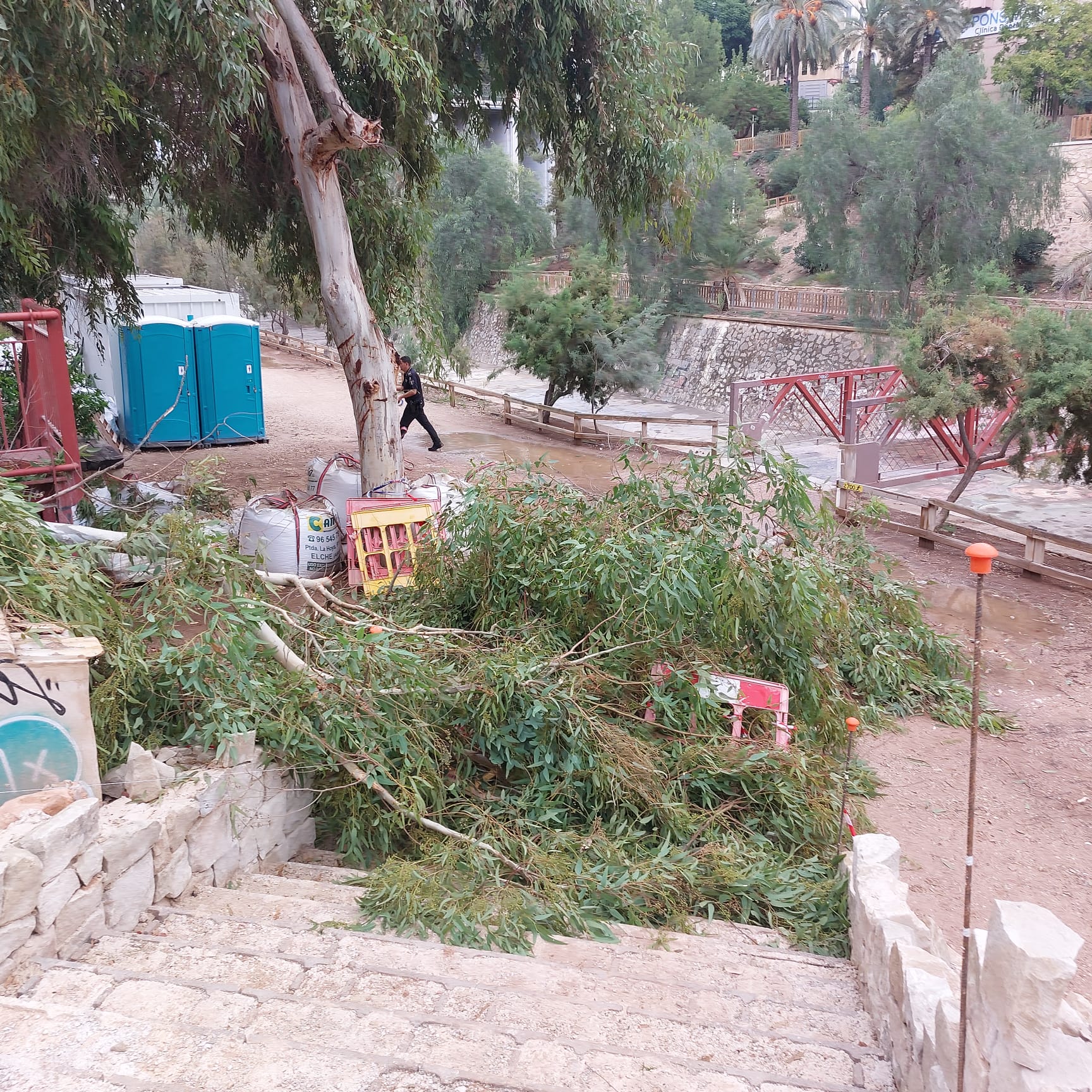 La DANA en la comarca del Baix Vinalopó: la lluvia apenas genera problemas, el viento sí en Elche La DANA en la comarca del Baix Vinalopó: la lluvia apenas genera problemas, el viento sí en Elche