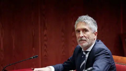 El ministro del Interior, Fernando Grande-Marlaska. El ministro del Interior, Fernando Grande-Marlaska.