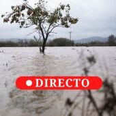 Alerta por la DANA en España, última hora: carreteras cortadas, fuertes lluvias e incluso tornados