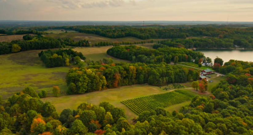 Qué debes saber sobre Michigan, el estado clave en las elecciones de Estados Unidos Qué debes saber sobre Michigan, el estado clave en las elecciones de Estados Unidos
