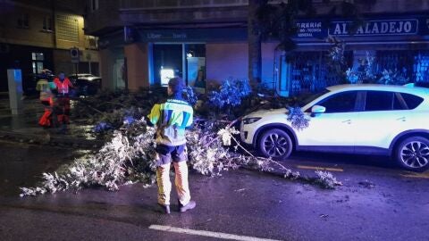 M&aacute;s de un centenar de incidencias en la Regi&oacute;n de Murcia por el temporal de viento y lluvias