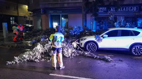 Más de un centenar de incidencias en la Región de Murcia por el temporal de viento y lluvias Más de un centenar de incidencias en la Región de Murcia por el temporal de viento y lluvias