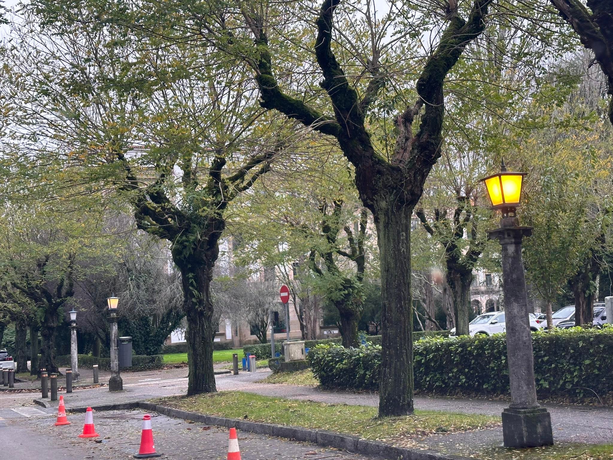 El Concello de Santiago asegura que las farolas sustituidas en la Residencia no estaban catalogadas y presentaban un riesgo de electrocución El Concello de Santiago asegura que las farolas sustituidas en la Residencia no estaban catalogadas y presentaban un riesgo de electrocución