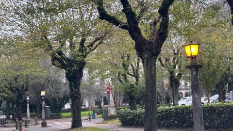 El Concello de Santiago asegura que las farolas sustituidas en la Residencia no estaban catalogadas y presentaban un riesgo de electrocuci&oacute;n 