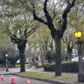 El Concello de Santiago asegura que las farolas sustituidas en la Residencia no estaban catalogadas y presentaban un riesgo de electrocución El Concello de Santiago asegura que las farolas sustituidas en la Residencia no estaban catalogadas y presentaban un riesgo de electrocución