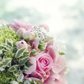 La tradició de col·locar rams de flors als cementiris està decaient a Catalunya La tradició de col·locar rams de flors als cementiris està decaient a Catalunya