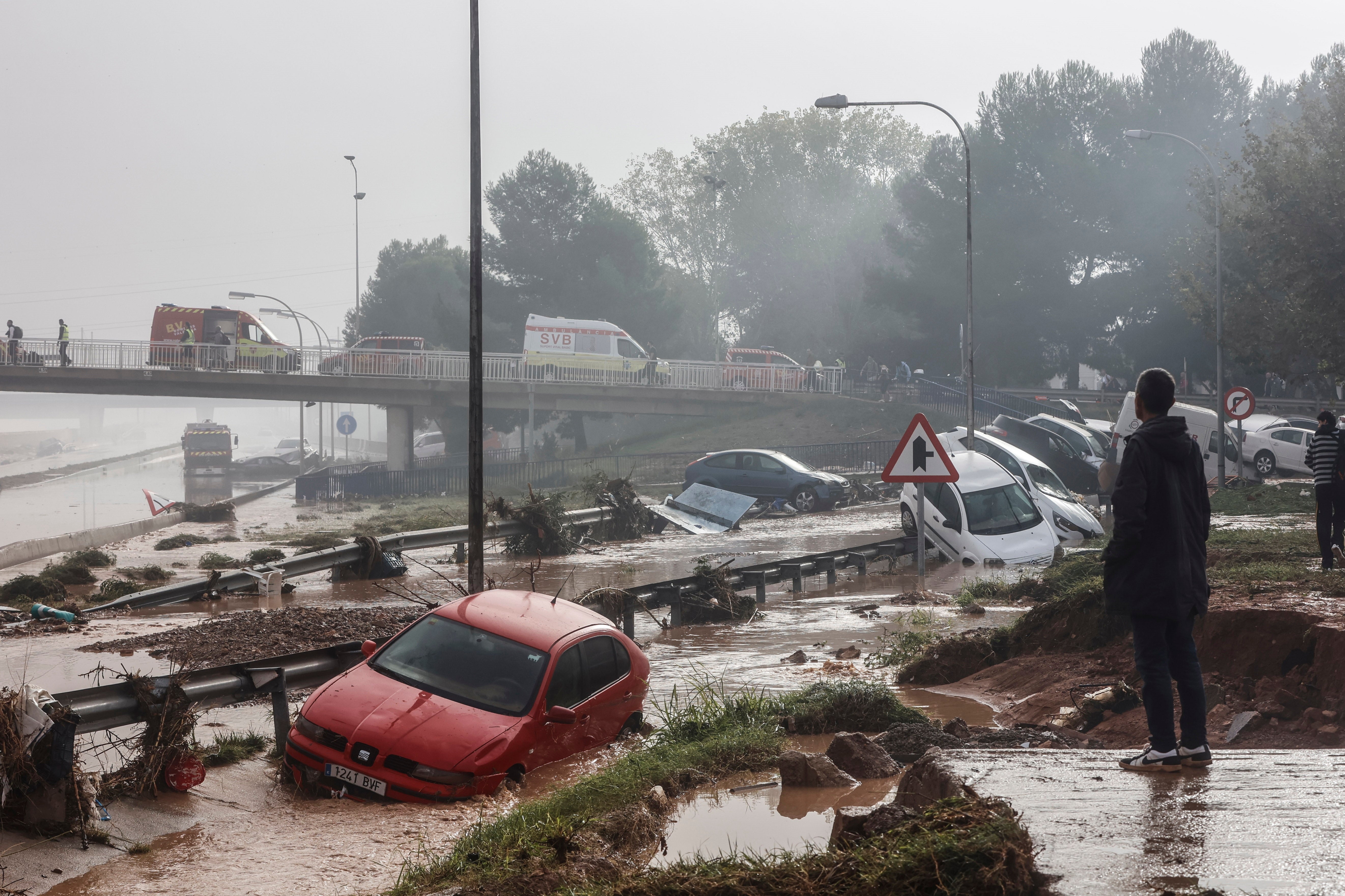 Las comarcas del Vinalopó activan la recogida de ayuda para los damnificados de la DANA Las comarcas del Vinalopó activan la recogida de ayuda para los damnificados de la DANA