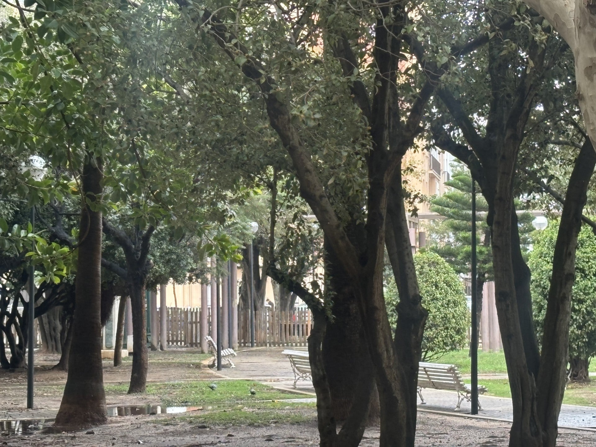 Incidencias por lluvia en la ciudad Incidencias por lluvia en la ciudad