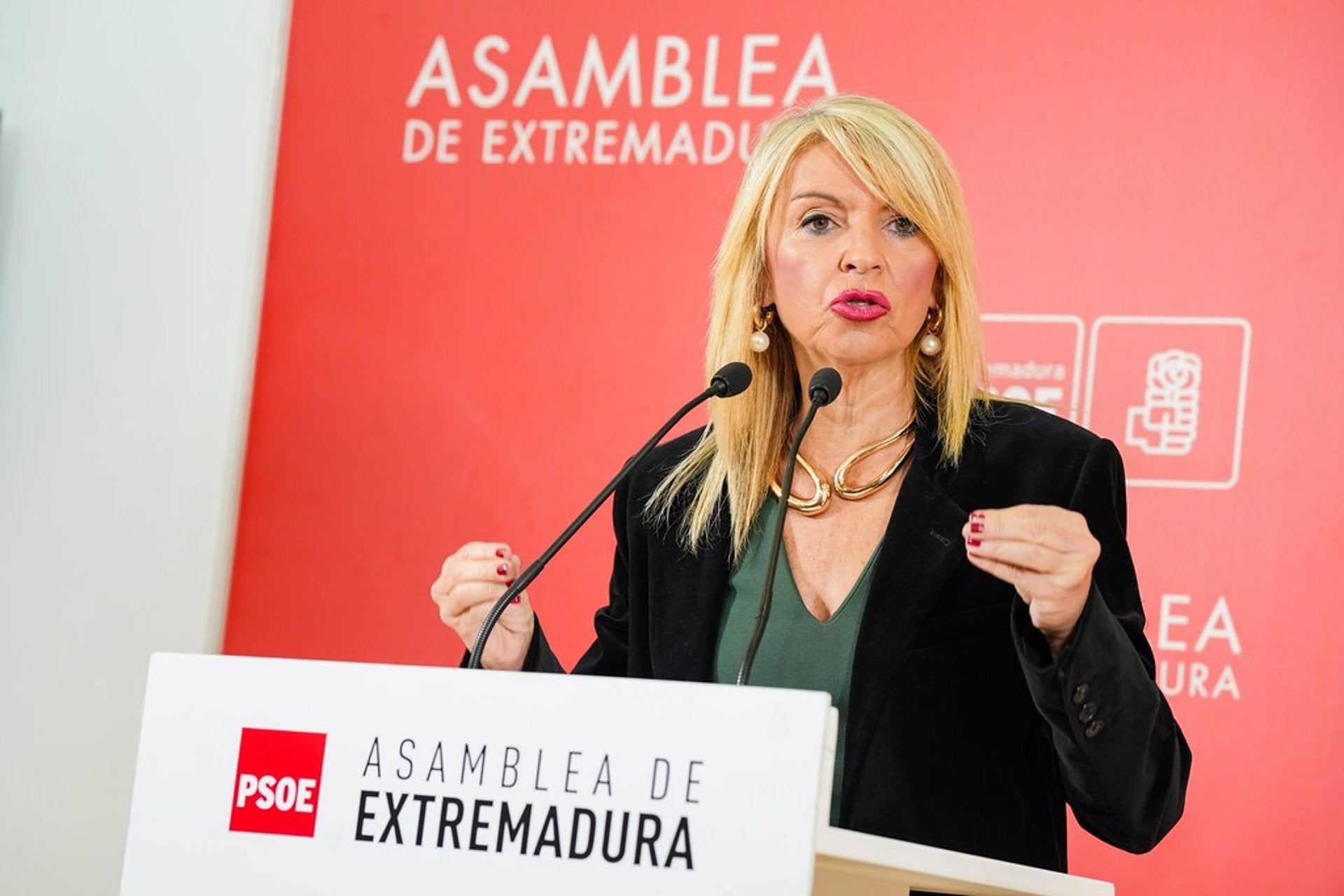El PSOE se siente "excluido" de la negociación y pide a Guardiola que aclare el coste si acuerda con Vox El PSOE se siente "excluido" de la negociación y pide a Guardiola que aclare el coste si acuerda con Vox