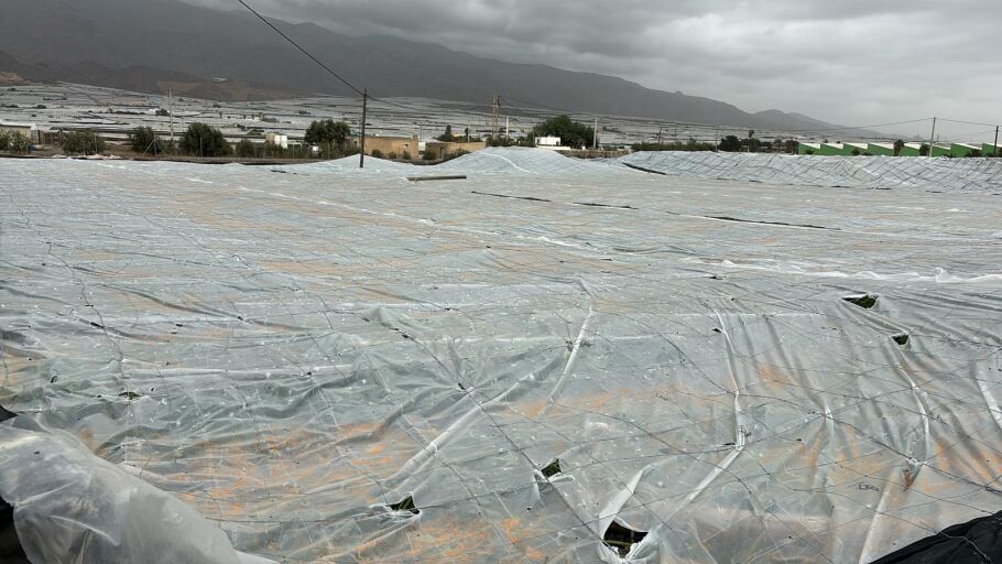 Invernadero destruido en El Ejido