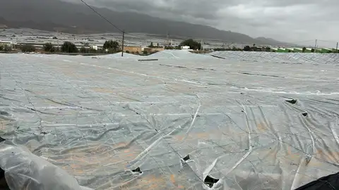 Invernadero destruido en El Ejido Invernadero destruido en El Ejido