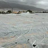 Invernadero destruido en El Ejido Invernadero destruido en El Ejido