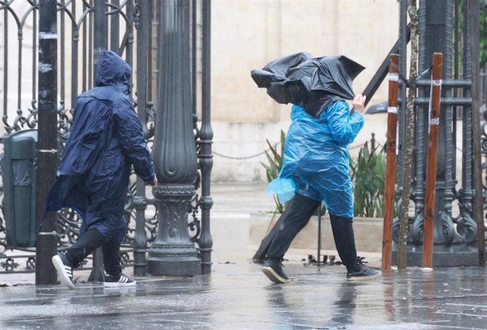 El ayuntamiento de Sevilla cierra parques y las instalaciones deportivas por el temporal El ayuntamiento de Sevilla cierra parques y las instalaciones deportivas por el temporal