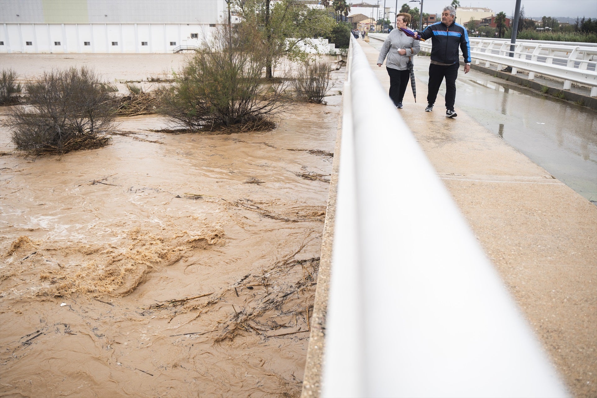 Un catedrático de Ingeniería Hidráulica denuncia que las inundaciones en Valencia "era un desastre anunciado" Un catedrático de Ingeniería Hidráulica denuncia que las inundaciones en Valencia "era un desastre anunciado"