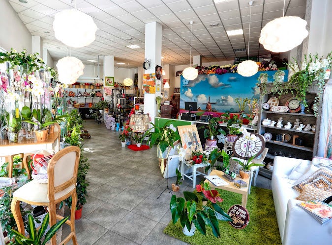 Más de Uno León 30/10/2024 Más de Uno León 30/10/2024