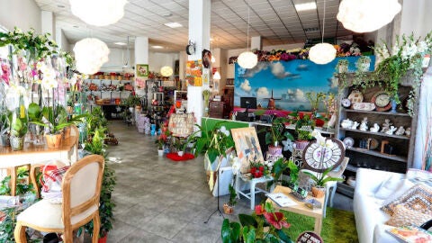 Tienda Tecly