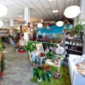 Tienda Tecly