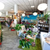 Tienda Tecly Tienda Tecly