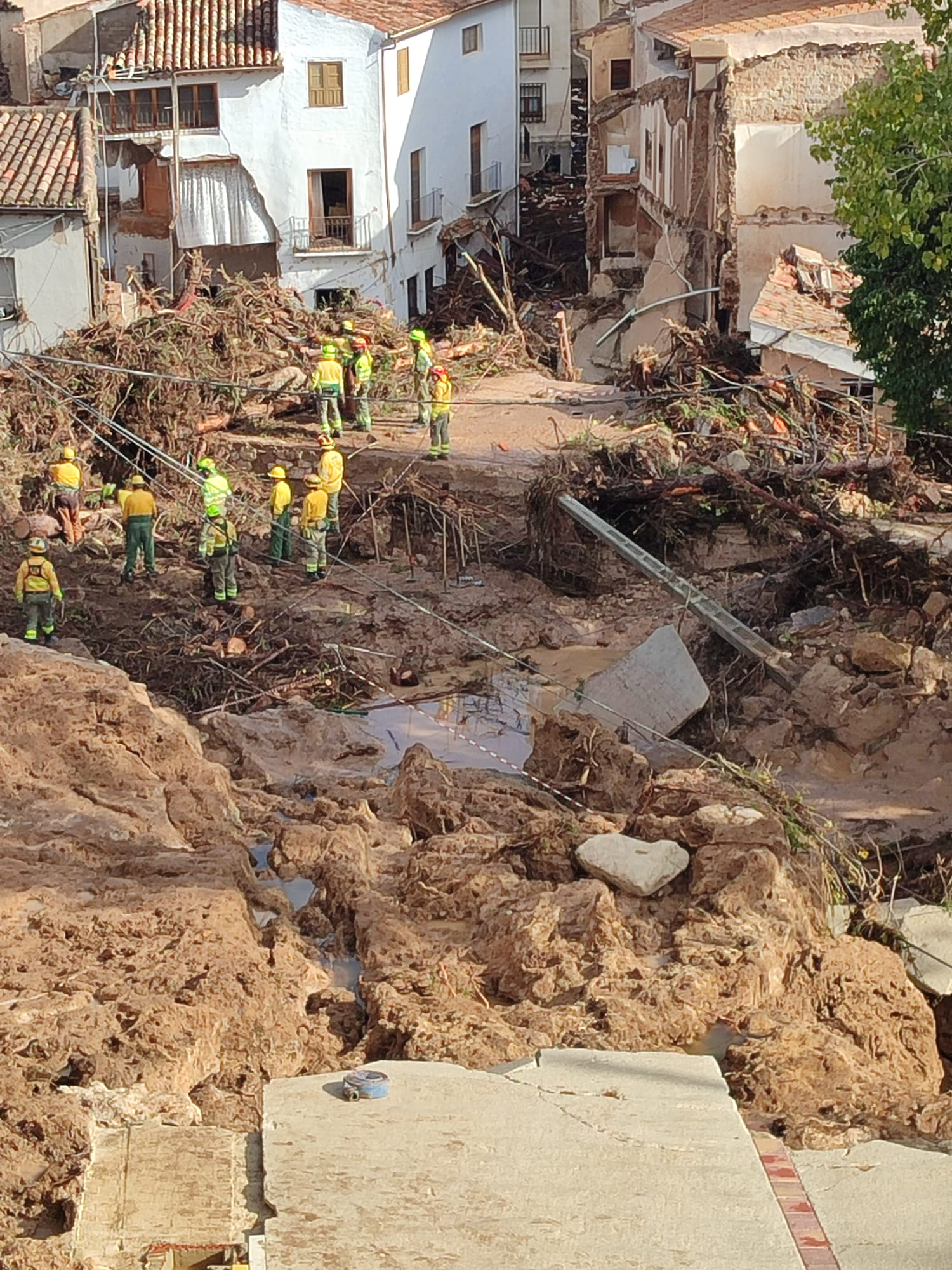 ASAJA Albacete analiza las consecuencias de la DANA en la provincia albaceteña ASAJA Albacete analiza las consecuencias de la DANA en la provincia albaceteña