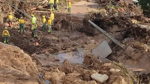 ASAJA Albacete analiza las consecuencias de la DANA en la provincia albaceteña ASAJA Albacete analiza las consecuencias de la DANA en la provincia albaceteña