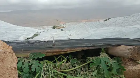 invernaderos caídos invernaderos caídos