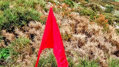 Imagen del recorrido de la carrera de montaña 'Blincapeñas' Imagen del recorrido de la carrera de montaña 'Blincapeñas'