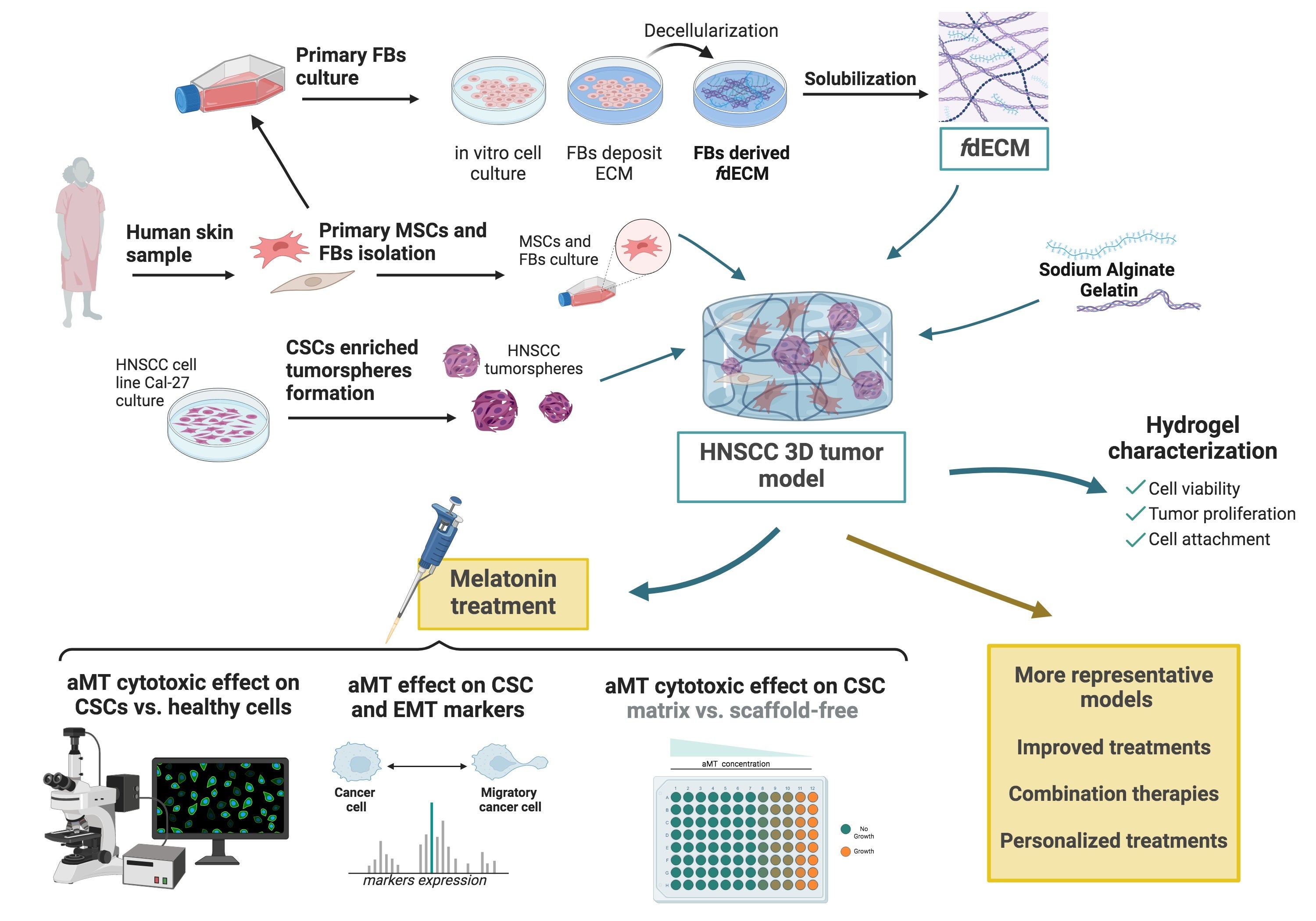 Científicos de Granada desarrollan modelos 3D de tumores para probar fármacos y tratamientos Científicos de Granada desarrollan modelos 3D de tumores para probar fármacos y tratamientos