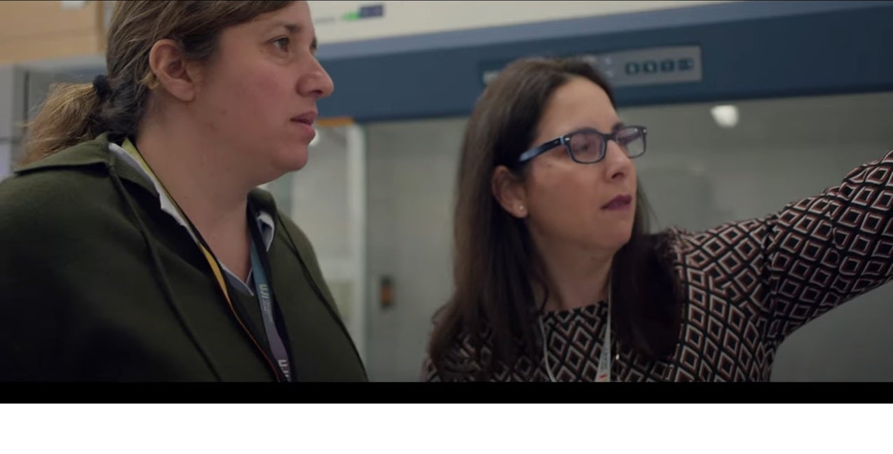 2.062 espanyols moren prematurament per contaminació de les cuines de gas, segons un estudi liderat per l'UJI 2.062 espanyols moren prematurament per contaminació de les cuines de gas, segons un estudi liderat per l'UJI