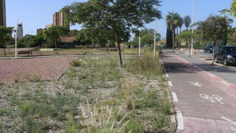 Benidorm invertir&aacute; cerca de 48.000 euros en el primer circuito infantil de &lsquo;pumptrack&rsquo;