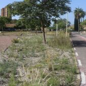 Benidorm invertirá cerca de 48.000 euros en el primer circuito infantil de ‘pumptrack’