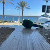 Domar Marbella Domar Marbella