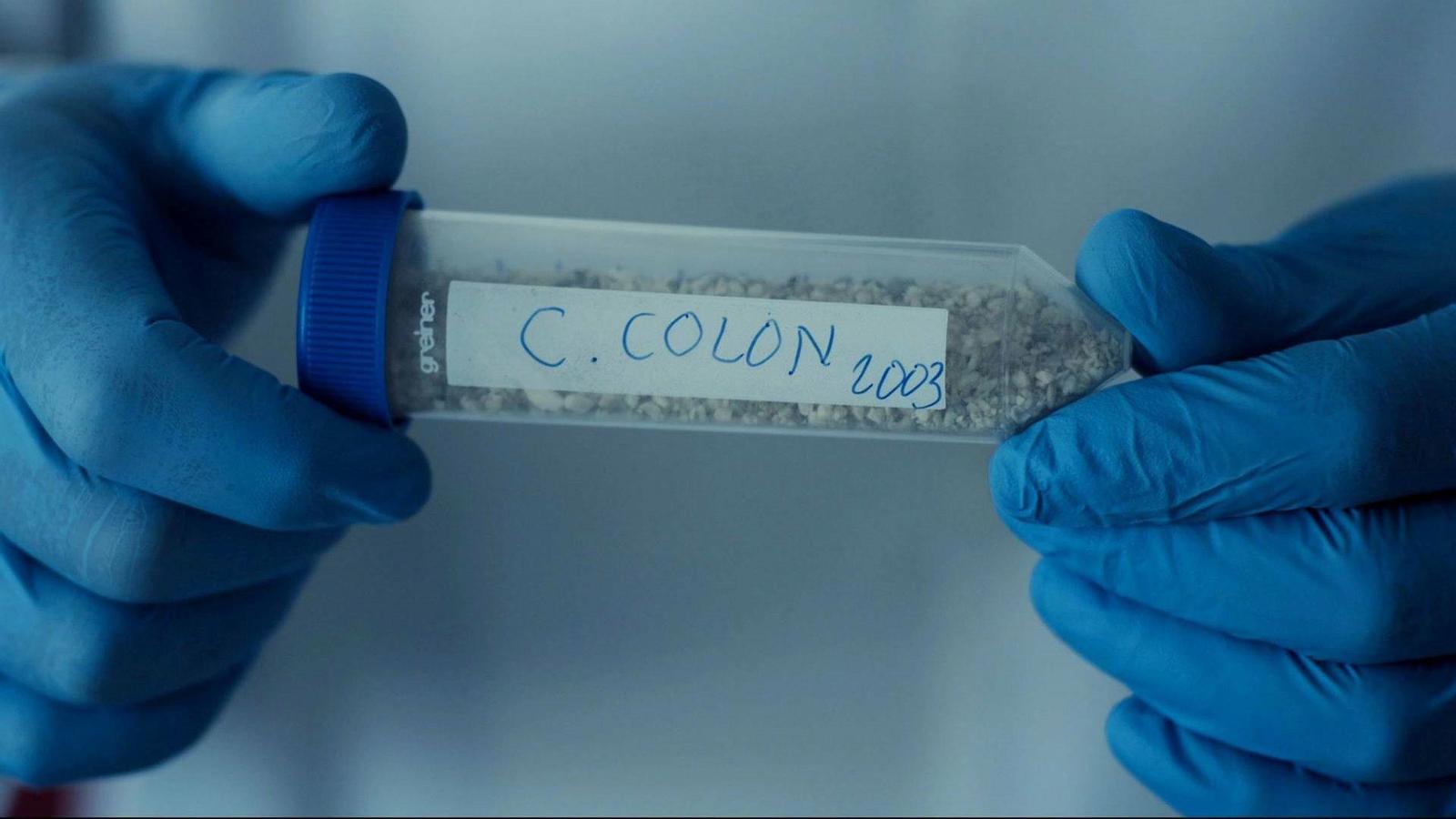 Los 150 gramos de Cristóbal Colón Los 150 gramos de Cristóbal Colón