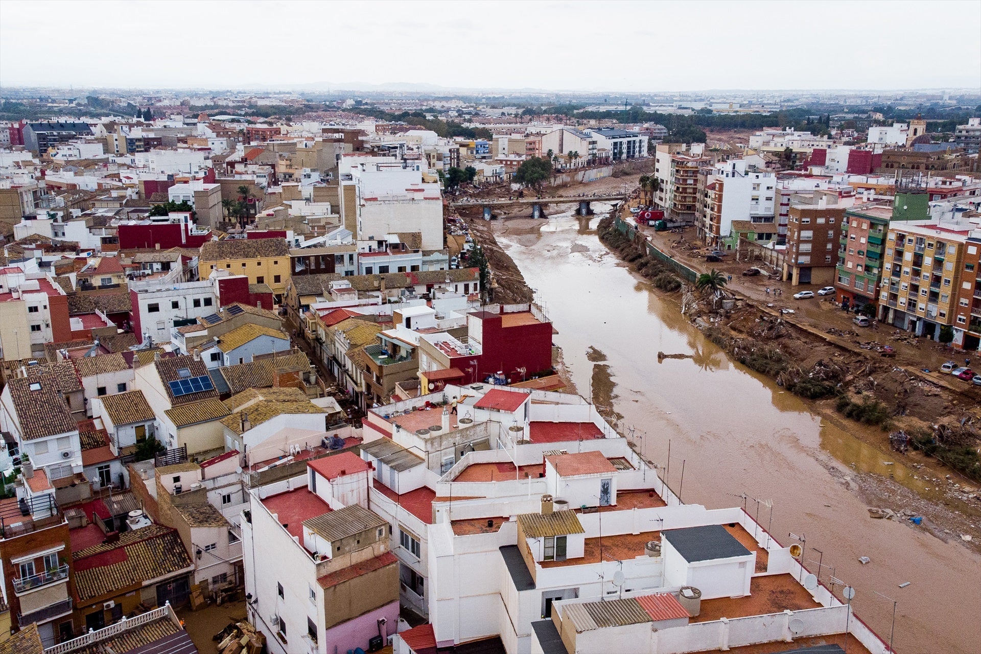 Más de uno Ceuta 11/11/24 Más de uno Ceuta 11/11/24