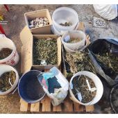 Droga incautada por la Guardia Civil