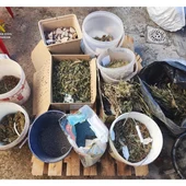Droga incautada por la Guardia Civil Droga incautada por la Guardia Civil