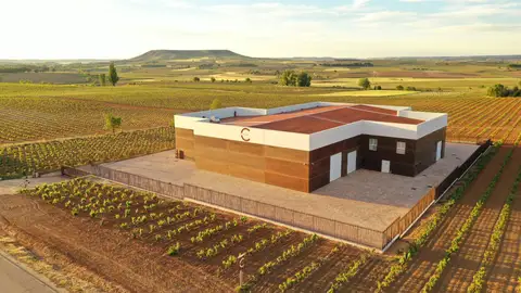 bodega dominio de calogía bodega dominio de calogía