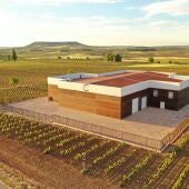 bodega dominio de calogía