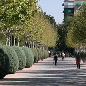 Los hechos ocurrieron en el Parque de Gasset Los hechos ocurrieron en el Parque de Gasset