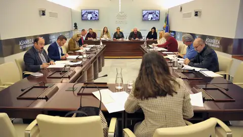 La catástrofe de la DANA, la lengua azul y los permisos para minas centra el pleno de la Asamblea esta semana La catástrofe de la DANA, la lengua azul y los permisos para minas centra el pleno de la Asamblea esta semana