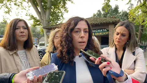 Noelia de la Cruz, portavoz del PSOE en Toledo Noelia de la Cruz, portavoz del PSOE en Toledo