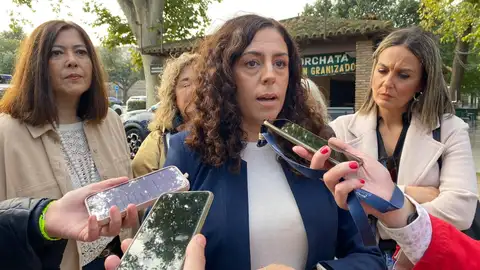 Noelia de la Cruz, portavoz del PSOE en Toledo Noelia de la Cruz, portavoz del PSOE en Toledo