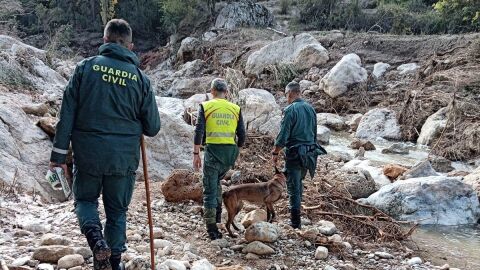 Localizan restos humanos en Las Ramblas de Letur