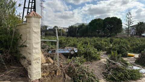 Situaci&oacute;n de &Aacute;lora 