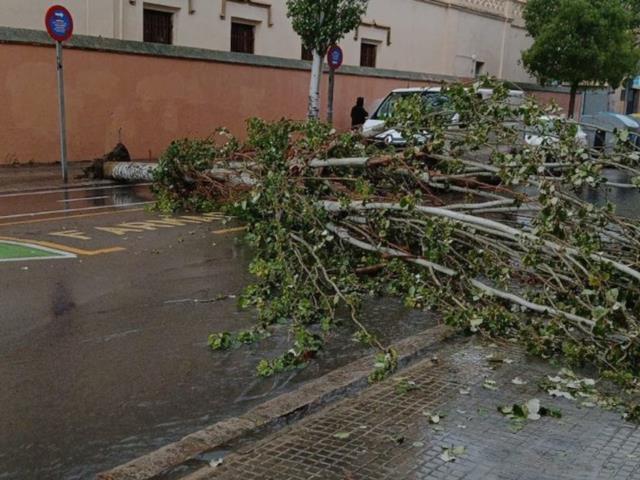 L’Ajuntament de Vilanova treballa en la recuperació dels espais i les infraestructures afectades i la prevenció de futures inundacions L’Ajuntament de Vilanova treballa en la recuperació dels espais i les infraestructures afectades i la prevenció de futures inundacions